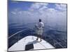 Deep Sea Fisherman-null-Mounted Premium Photographic Print