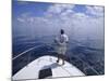 Deep Sea Fisherman-null-Mounted Photographic Print