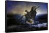 Deep Sea Fishing-Jai Johnson-Framed Stretched Canvas