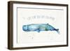 Deep Sea I-Anne Tavoletti-Framed Art Print