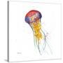 Deep Sea Jellies I-Paul Brent-Stretched Canvas