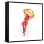 Deep Sea Jellies II-Paul Brent-Framed Stretched Canvas