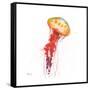 Deep Sea Jellies II-Paul Brent-Framed Stretched Canvas