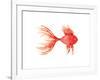 Deep Sea Red Fish-Sara Berrenson-Framed Art Print