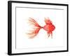 Deep Sea Red Fish-Sara Berrenson-Framed Art Print