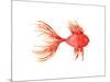 Deep Sea Red Fish-Sara Berrenson-Mounted Art Print