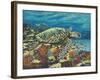 Deep Sea Swimming II-Carolee Vitaletti-Framed Art Print