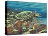 Deep Sea Swimming II-Carolee Vitaletti-Stretched Canvas