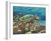 Deep Sea Swimming II-Carolee Vitaletti-Framed Art Print