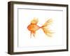 Deep Sea Yellow Fish-Sara Berrenson-Framed Art Print
