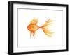 Deep Sea Yellow Fish-Sara Berrenson-Framed Art Print