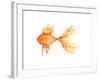 Deep Sea Yellow Fish-Sara Berrenson-Framed Art Print