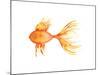 Deep Sea Yellow Fish-Sara Berrenson-Mounted Art Print