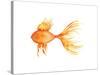 Deep Sea Yellow Fish-Sara Berrenson-Stretched Canvas