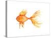 Deep Sea Yellow Fish-Sara Berrenson-Stretched Canvas