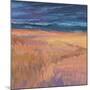 Deep Sky and Field-Jeannie Sellmer-Mounted Giclee Print