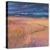 Deep Sky and Field-Jeannie Sellmer-Stretched Canvas