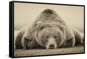 Deep Sleep-PHBurchett-Framed Stretched Canvas