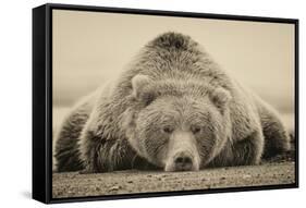 Deep Sleep-PHBurchett-Framed Stretched Canvas