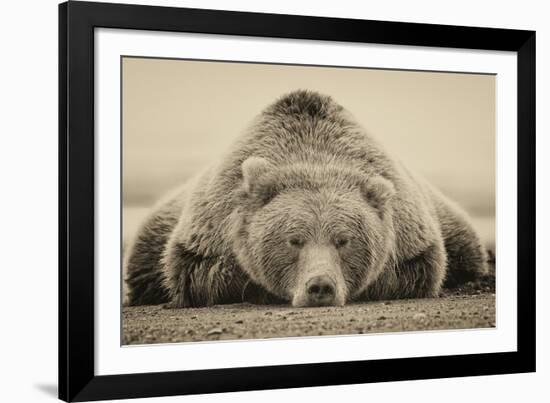 Deep Sleep-PHBurchett-Framed Premium Giclee Print