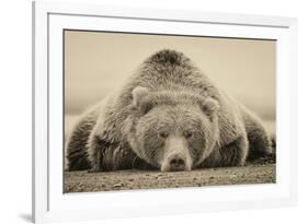 Deep Sleep-PHBurchett-Framed Art Print