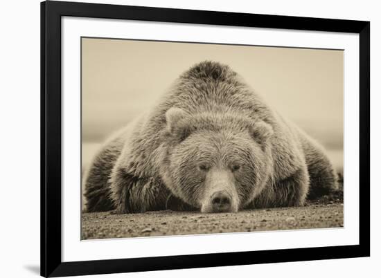 Deep Sleep-PHBurchett-Framed Art Print