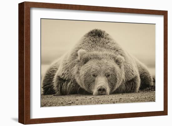 Deep Sleep-PHBurchett-Framed Art Print