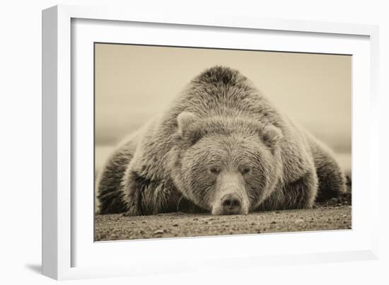 Deep Sleep-PHBurchett-Framed Art Print