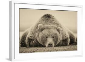 Deep Sleep-PHBurchett-Framed Art Print