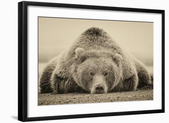 Deep Sleep-PHBurchett-Framed Art Print