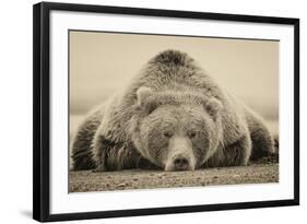 Deep Sleep-PHBurchett-Framed Art Print