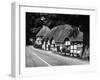 Deep Thatched Cottages at  Wherwell, Hampshire, England-J. Chettlburgh-Framed Photographic Print