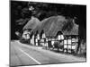 Deep Thatched Cottages at  Wherwell, Hampshire, England-J. Chettlburgh-Mounted Photographic Print