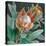 Deep Tropical Protea Crop-Danhui Nai-Stretched Canvas