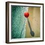 Deep Water-null-Framed Photographic Print