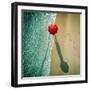 Deep Water-null-Framed Photographic Print