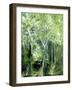 Deep Within-Ruth Palmer-Framed Art Print