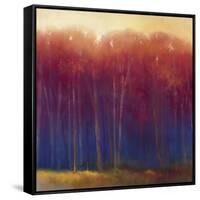 Deep Woods in Autumn-Teri Jonas-Framed Stretched Canvas