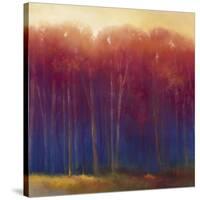 Deep Woods in Autumn-Teri Jonas-Stretched Canvas