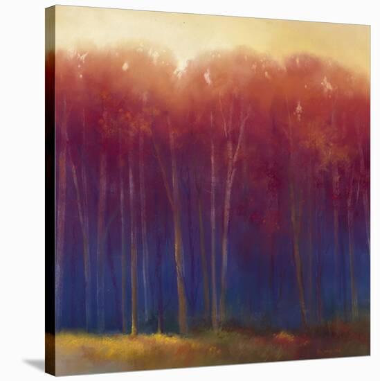 Deep Woods in Autumn-Teri Jonas-Stretched Canvas