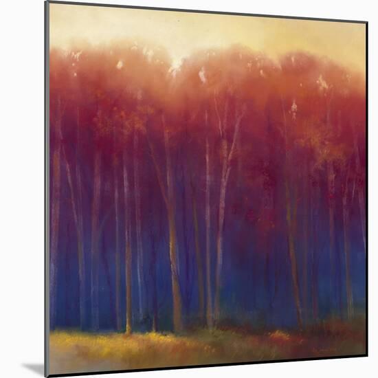 Deep Woods in Autumn-Teri Jonas-Mounted Giclee Print