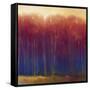 Deep Woods in Autumn-Teri Jonas-Framed Stretched Canvas