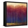 Deep Woods in Autumn-Teri Jonas-Framed Stretched Canvas