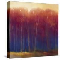 Deep Woods in Autumn-Teri Jonas-Stretched Canvas