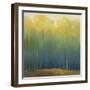 Deep Woods in Summer-Teri Jonas-Framed Giclee Print