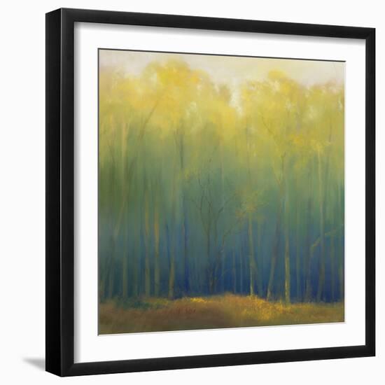 Deep Woods in Summer-Teri Jonas-Framed Giclee Print