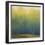 Deep Woods in Summer-Teri Jonas-Framed Giclee Print