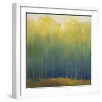 Deep Woods in Summer-Teri Jonas-Framed Giclee Print