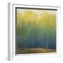 Deep Woods in Summer-Teri Jonas-Framed Giclee Print