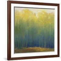 Deep Woods in Summer-Teri Jonas-Framed Giclee Print